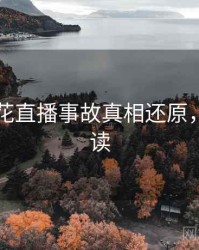 国产探花直播事故真相还原，立即阅读