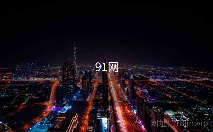 91网