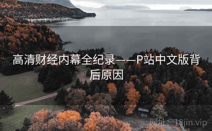 高清财经内幕全纪录——P站中文版背后原因